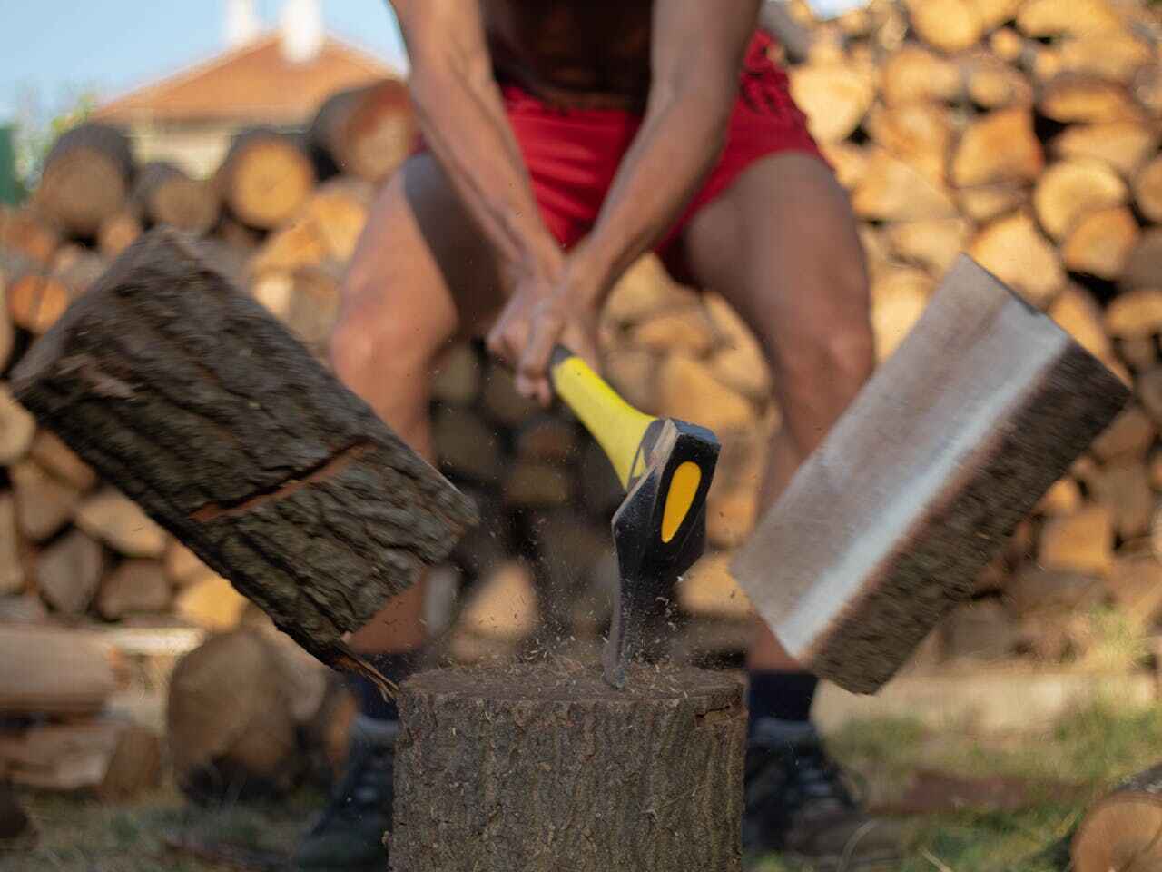 Best Residential Tree Removal  in USA